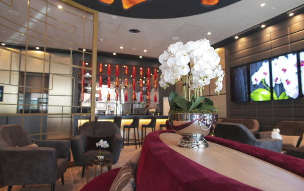 PLAZA Premium Heidelberg