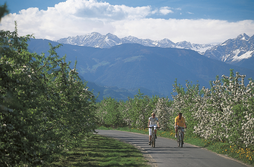 Radfahrer Südtirol Gardasee