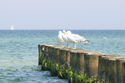 Winterwellness und Wohlfühltage - Maritim Seehotel Timmendorfer Strand 