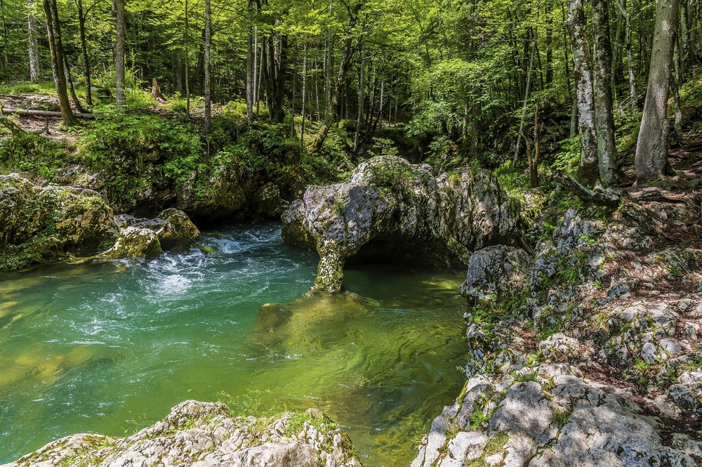 Mostnica Schlucht