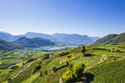 Radreise Südtirol & Gardasee / BadZ