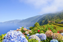 Blumeninsel Madeira - Farben und Düfte des ewigen Frühlings / BadZ