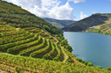 Flusskreuzfahrt Douro mit Vorprogramm Porto / MS PORTO MIRANTE - BadZ