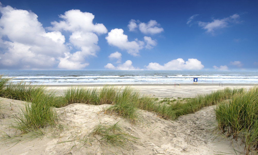 Dünen am Strand von Norderney